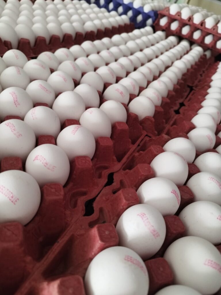 Beyaz Tavuk Yumurtası Toptan Üzülmez Yumurta