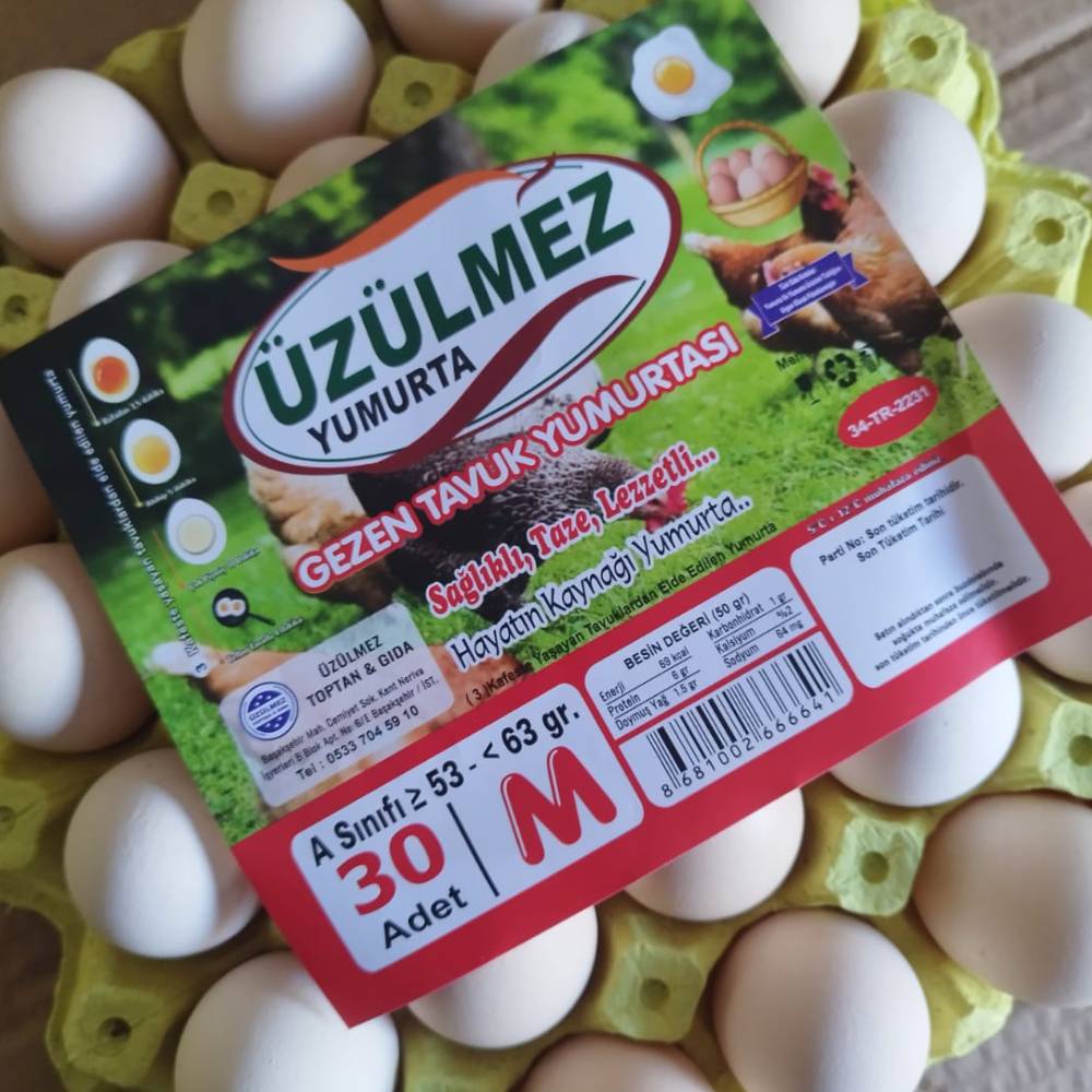 Gezen Tavuk Yumurtası Toptan Üzülmez Yumurta