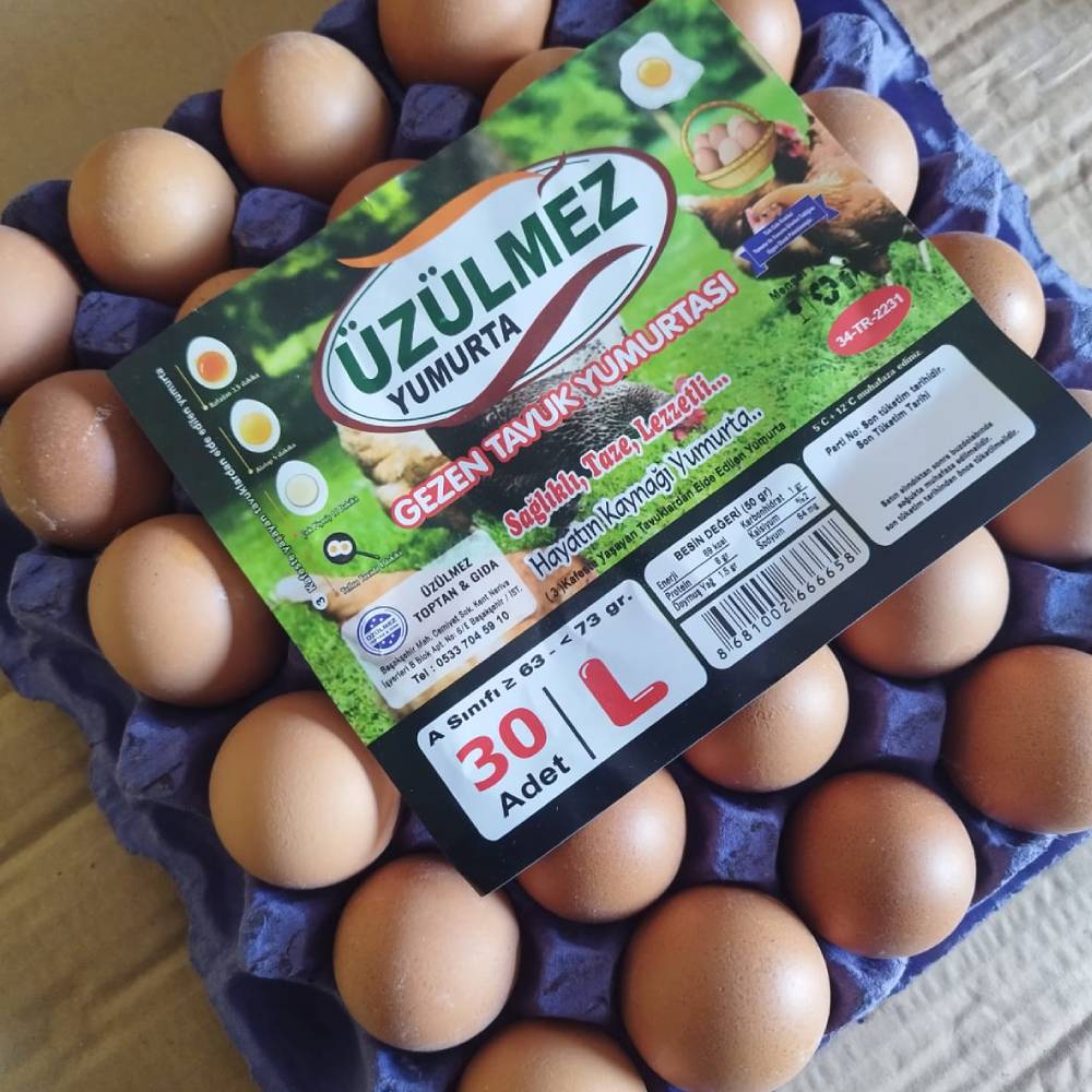 Gezen Tavuk Yumurtası Toptan Üzülmez Yumurta