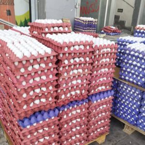 Beyaz Tavuk Yumurtası Toptan Üzülmez Yumurta